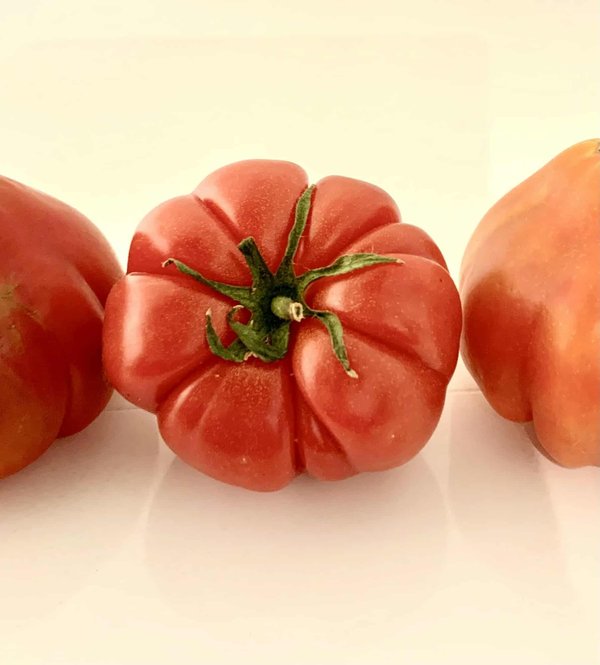 Quelles sont les meilleures variétés de tomates pour une sauce maison concentrée en goût?